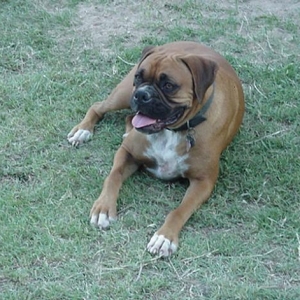 eli keeping cool