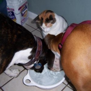 Sharing
