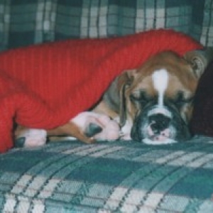 Snuggly Sweater