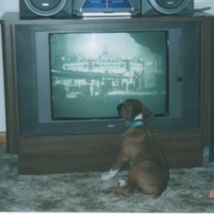 TV Time