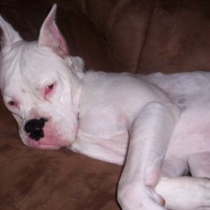 Sweet boy!
