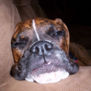 Smoosh face!