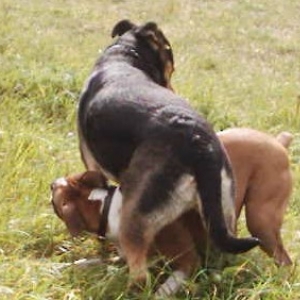 Get off me.