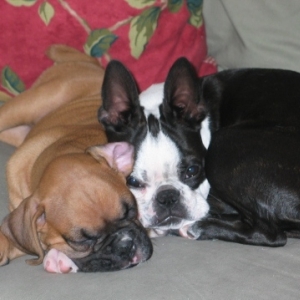 Sleepy Sisters