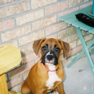Breezie girl