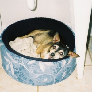 Tinker