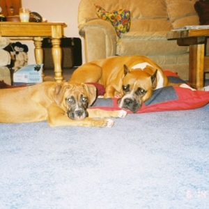 Cain and Breezie resting