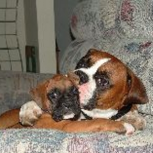 Hugs and Kisses!