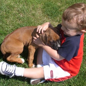 Our Two Boys
