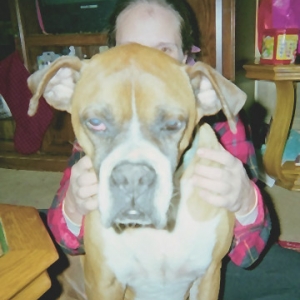 Crazy faces by Taz
