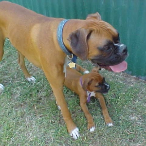 George & Mindy - 6/26/05