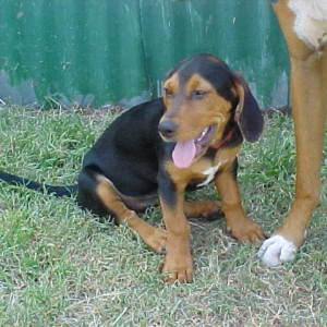 Miss Emma