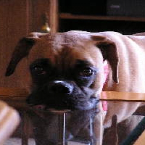Resting Head