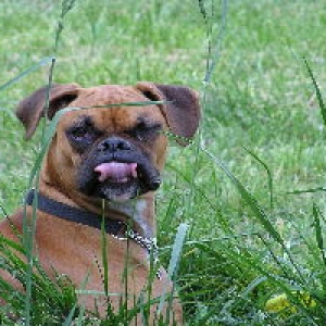 Goofy Look