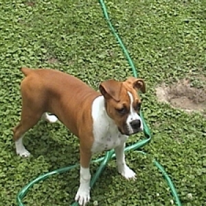 I don't dig dad, honest!