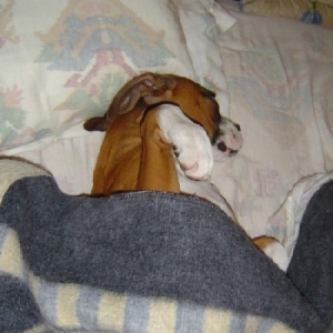 Tucked In!