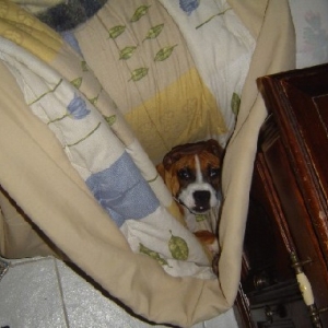 Oops! I fell off the bed!