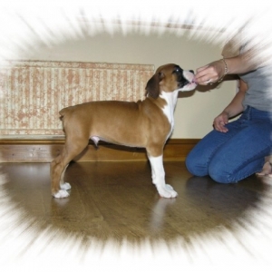 Khan  at 9 weeks