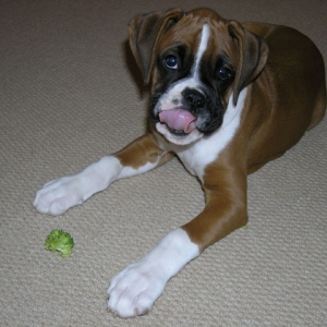 Mmm - I like my broccoli!