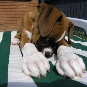 Camera Shy