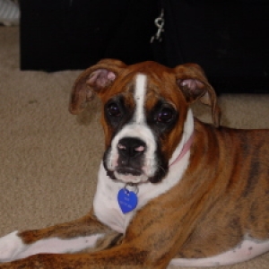 Roxy 15 weeks