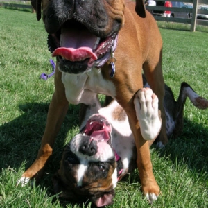 Ah Ha! Pinned her!