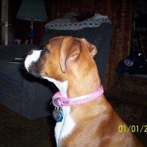 tn_Picture_0041