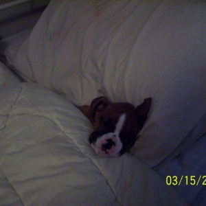 so sleepy
