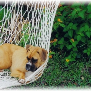 What a life!