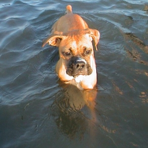 I'm cold and wet!