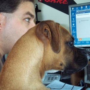 Logging on to Boxer World