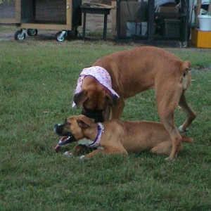 Stormie playing with Cousin Nina
