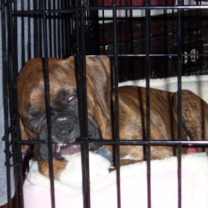 Too Much Play