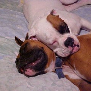 George & Lillie @ top speed