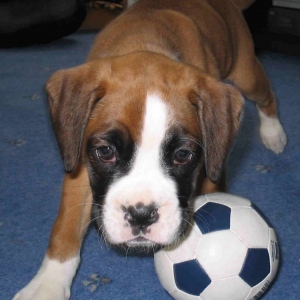 Its my Ball!!