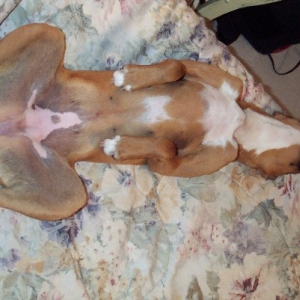 The Art of Relaxation...