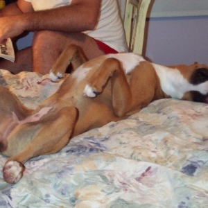 The Art of Relaxation II...