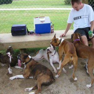 The whole Boxer gang!