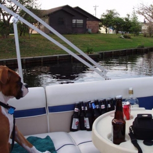 bella having a Bud light