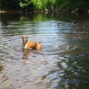 george cooling down on a hot day