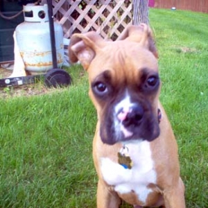 Who can resist this face?