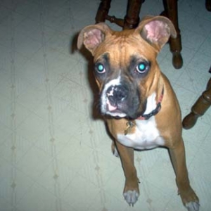 Where's that treat you promised?