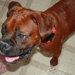 max