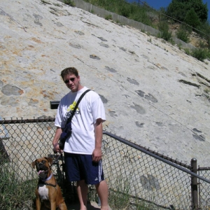 Dinosaur footprints