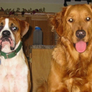 Boggs and Brody