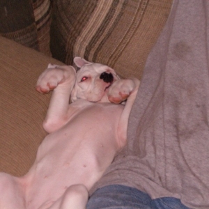 catching some zzzzzzzz