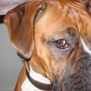 R U talking to me?