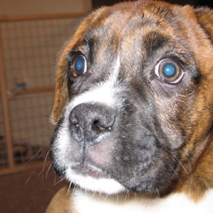 Brody - I'm ready for my close up!