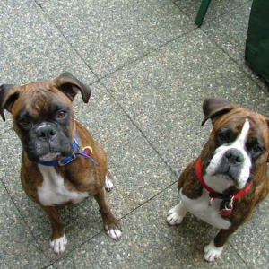 Luke and Auka (aka Unkie Herb)