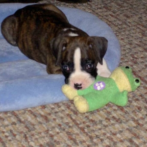 Lukas & frog